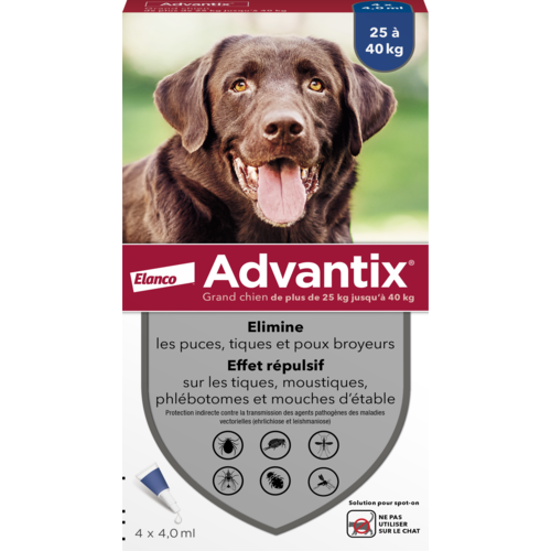 advantix grand chien