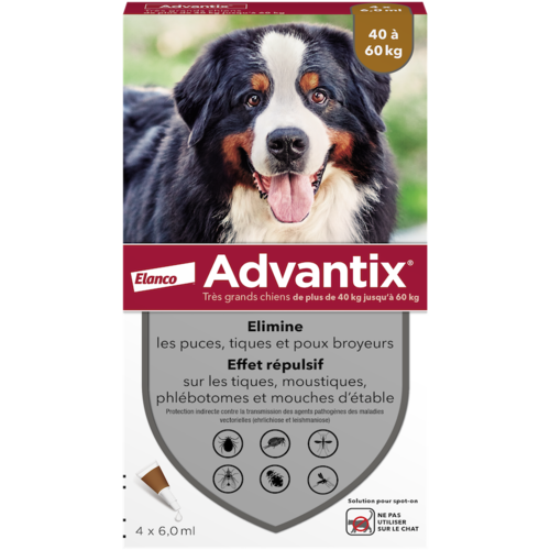 advantix tres grand chien