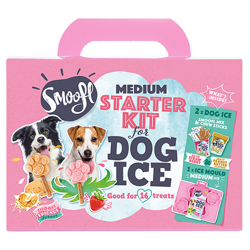 smoofl starter kit medium dog glace