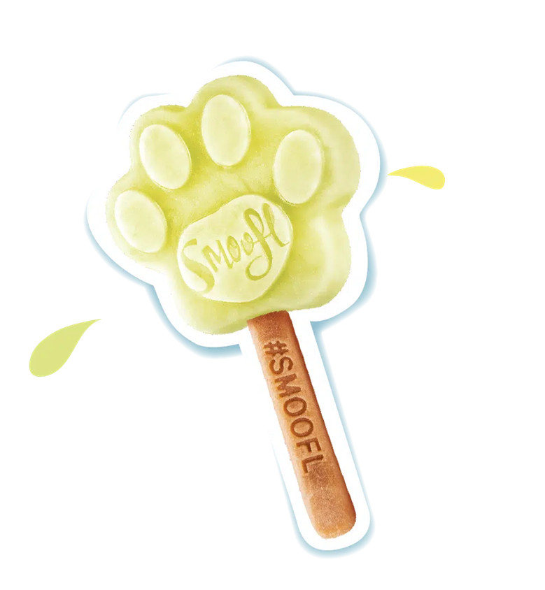 glace pour chien smoofl pomme