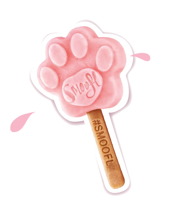 glace pour chien fraise