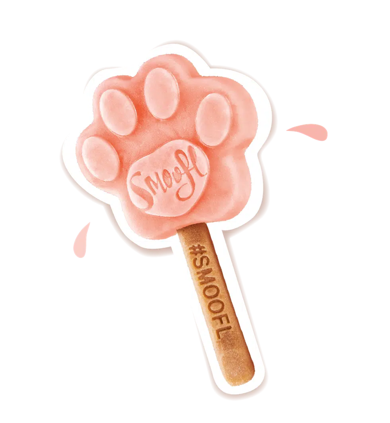 glace pour chien pasteque