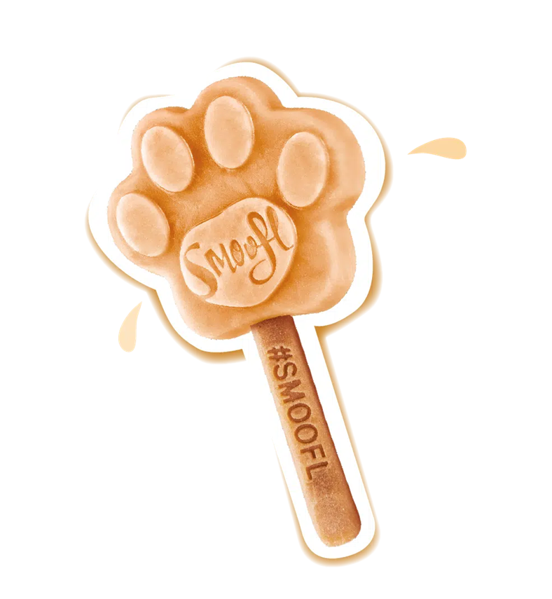 glace pour chien caramel
