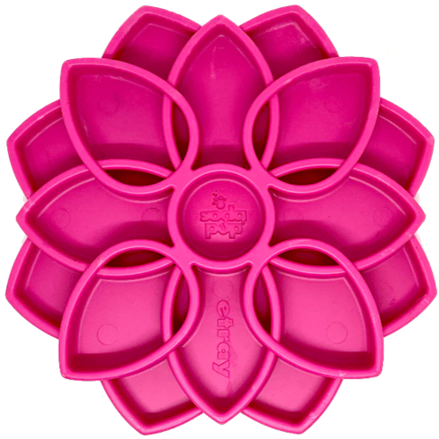 mandala sodapup rose