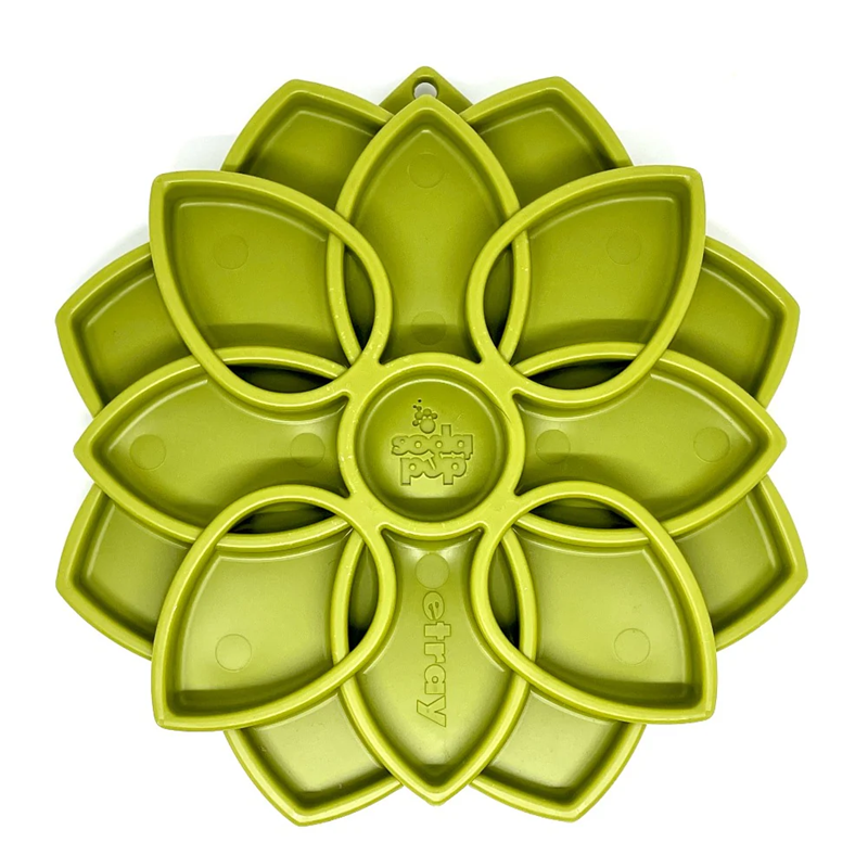 mandala sodapup vert