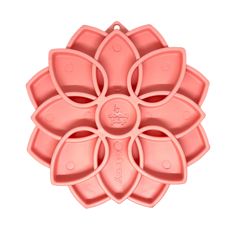 sodapup mandala softie rose