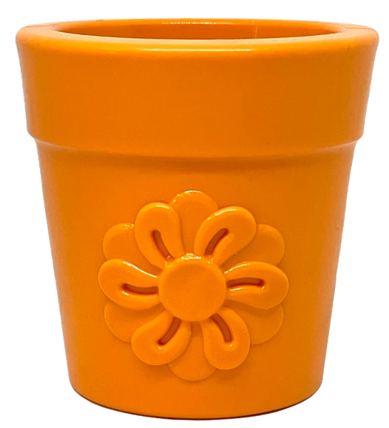 sodapup flower pot