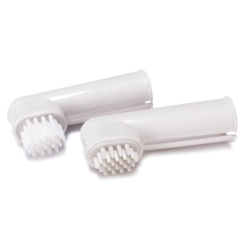 kit brosse a dent chien