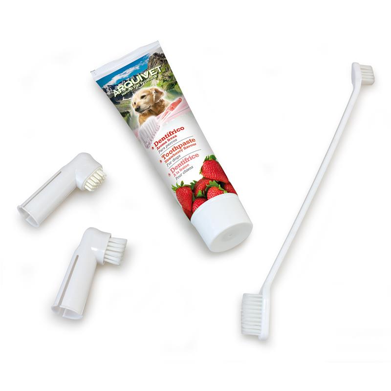 set-dentaire-fraise