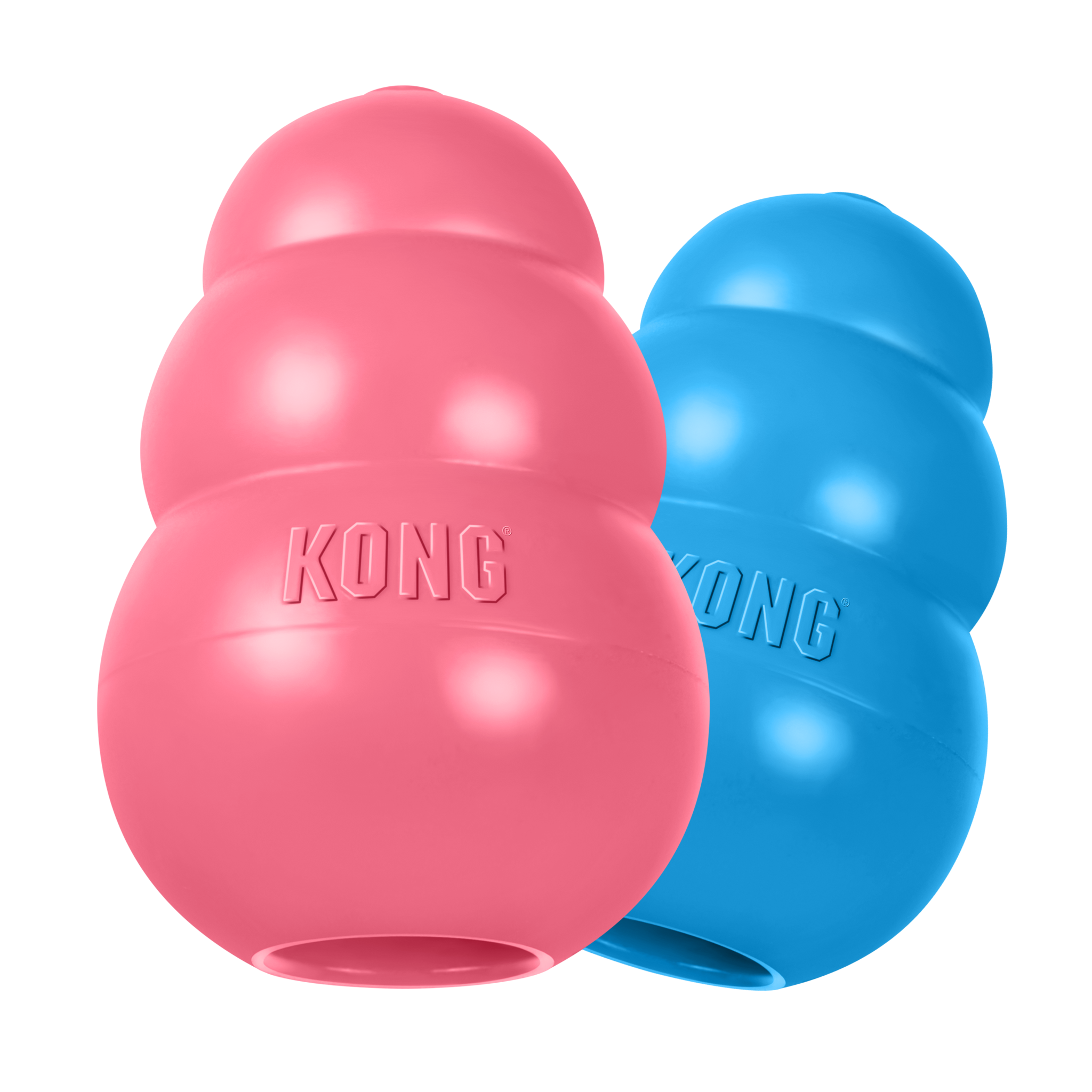 acheter kong puppy chiot