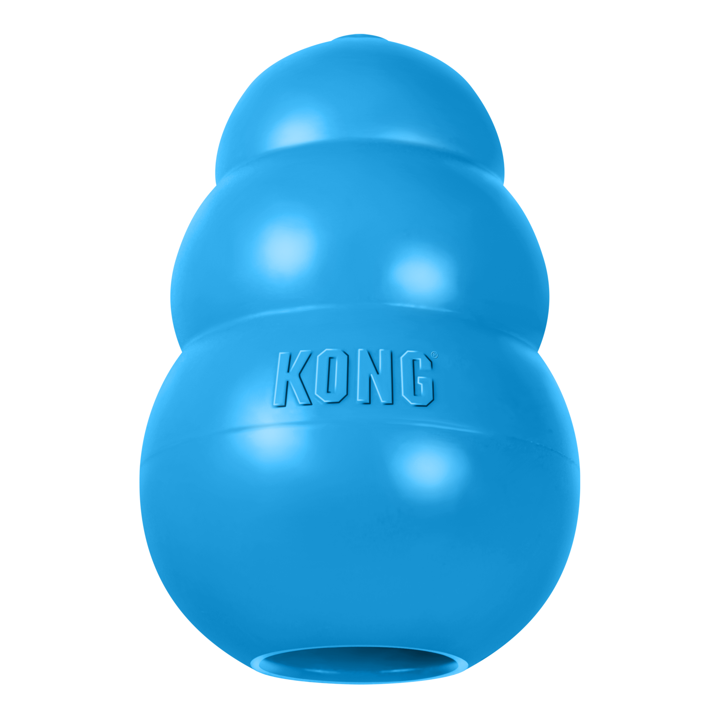 kong puppy chiot