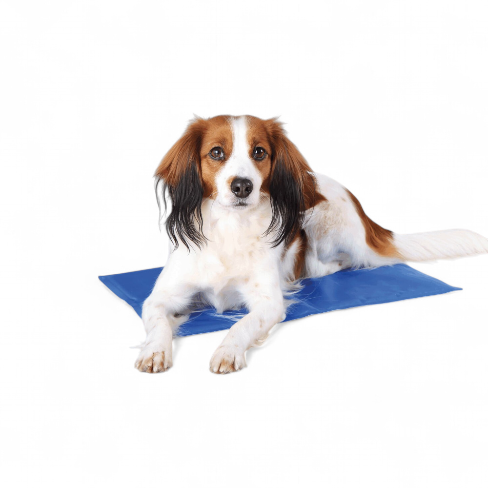 tapis-rafraichissant-pour-chien-trixie