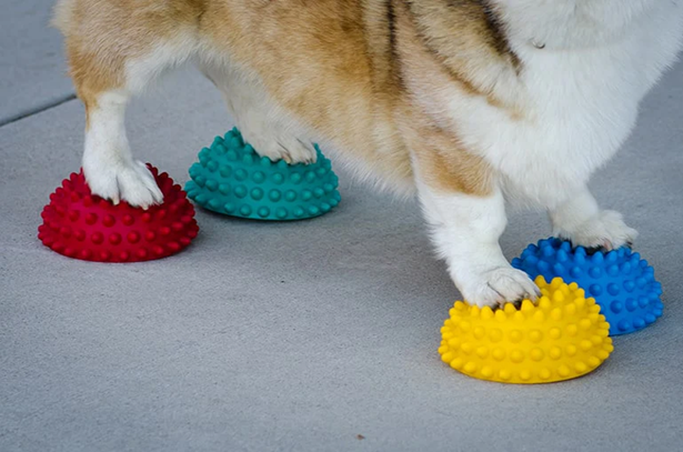 Fitpaws paw pods