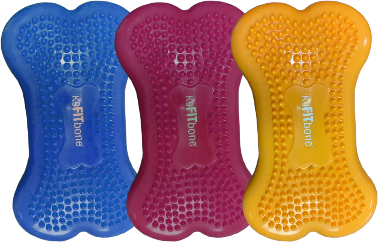 FITPAWS K9FITBONE MINI par 2
