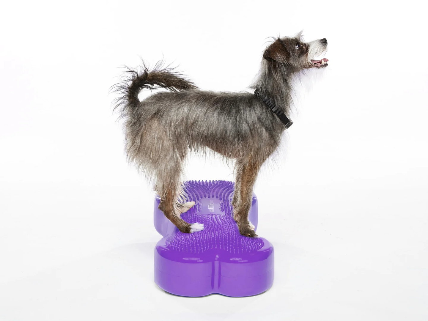 FITPAWS K9FITBONE Grand