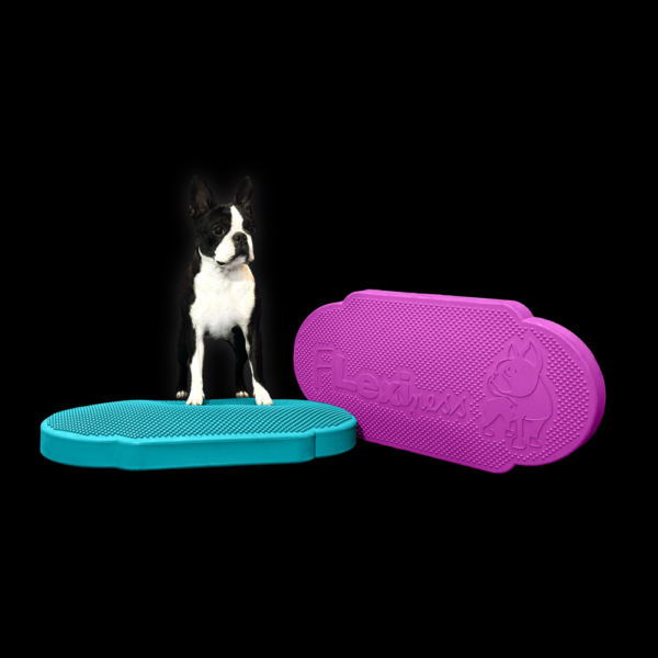 flewiness twindisc proprioception