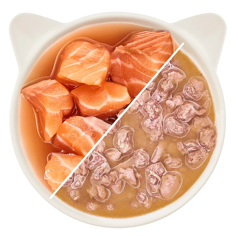 Wow sauce saumon chat