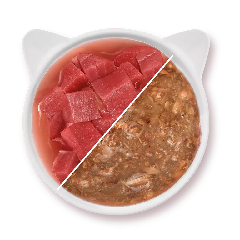 Wow chat thon en sauce