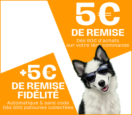 promo chien pas cher