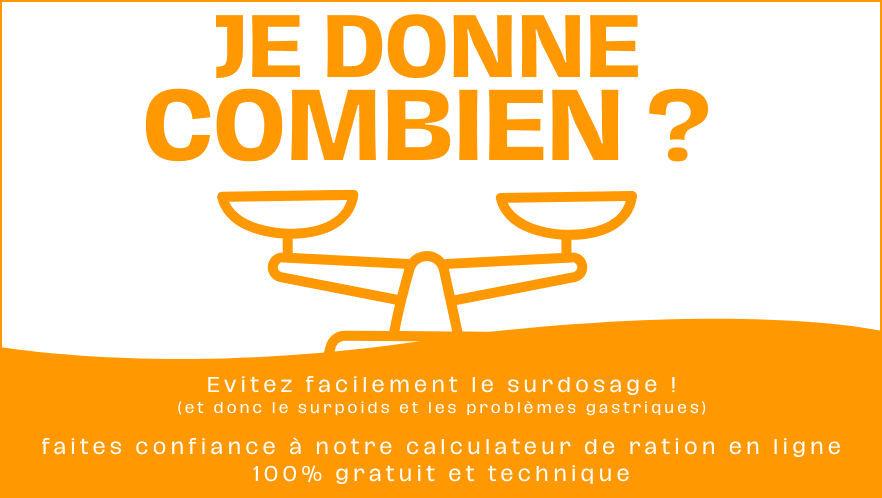 Combien de grammes de croquettes pour mon chien ?