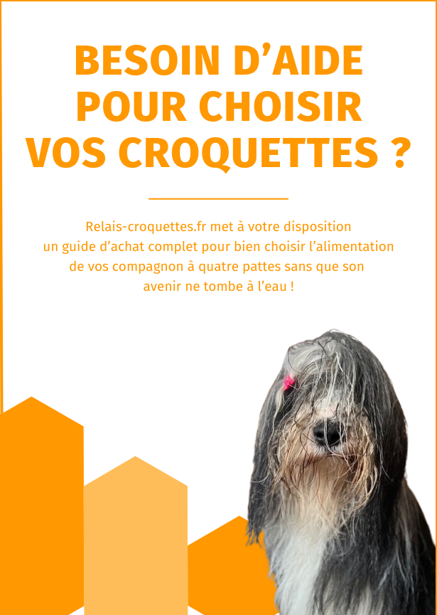 guide d'achat croquettes fiable 