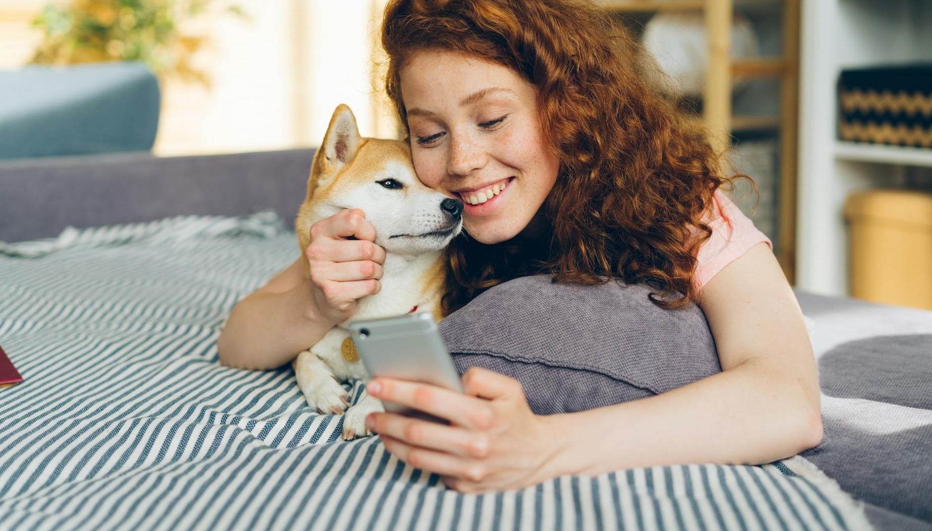 photos gratuites de a l interieur adorable affection