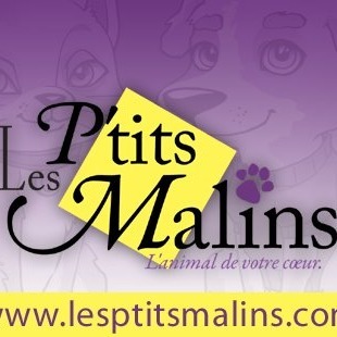 Les P'tits Malins