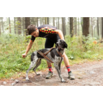 Harnais Xback Alphadogsport canicross
