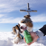 smoothiedog-agneau-friandise-liquide-chien-lamm