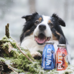 smoothiedog-dinde-friandise-liquide-chien-250ml