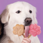 glace pour chien smoofl