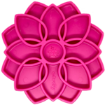 mandala sodapup rose