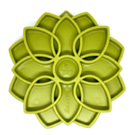 mandala sodapup vert