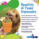 sodapup flower pot ENRICHISSEMENT