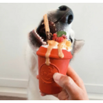 sodapup café pour chien