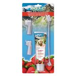 set-dentaire-chien-fraise