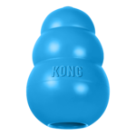 kong puppy chiot