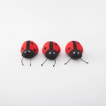 Zippy Paws Burrow coccinelles