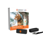 Collier gps Weenect noir chat