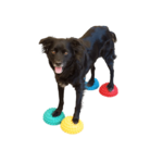 Fitpaws paw pods 4