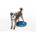 Fitpaws banace disc 22