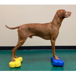 FITPAWS K9FITBONE MINI LOT 2