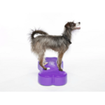 FITPAWS K9FITBONE Grand
