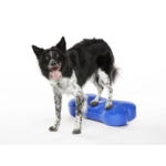 FITPAWS K9FITBONE REGULAR