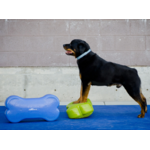 FITPAWS K9FITBONE