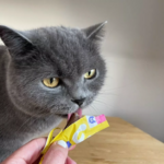 Wow soft sticks poulet chat