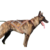 Harnais Xback Alphadogsport