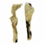friandise-chien-masque-agneau-poils