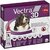 Vectra 3D tres grand chien