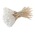 bamboostick coton tige chien